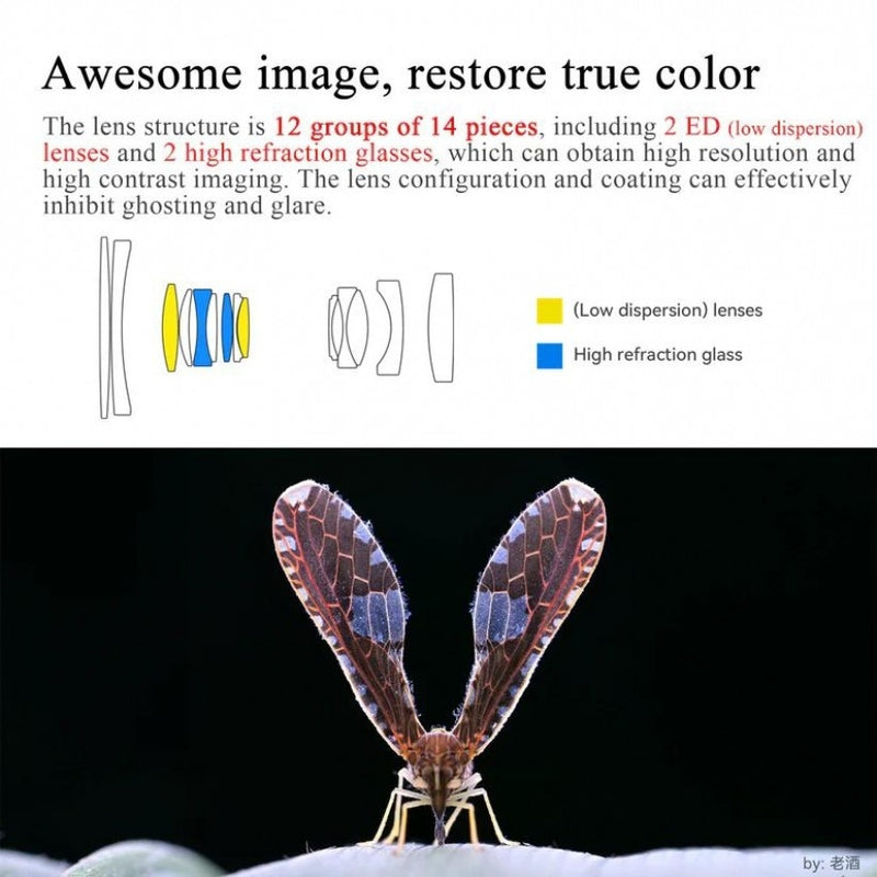 เลนส์ 60mm Macro Nikon Z 2X ED Elements