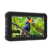 Atomos Shinobi 5.2"