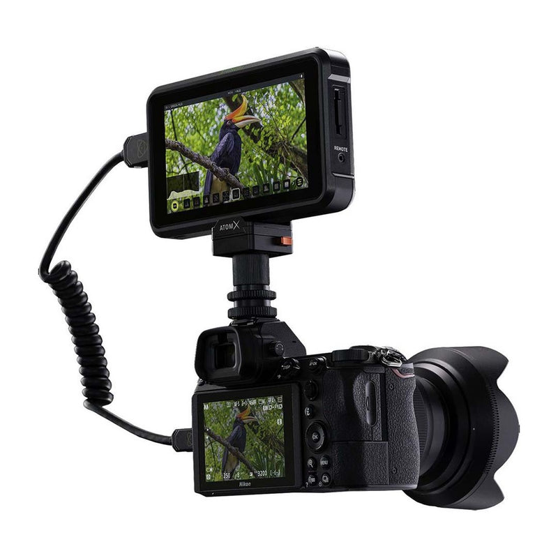 Atomos Shinobi 5.2" - image 5
