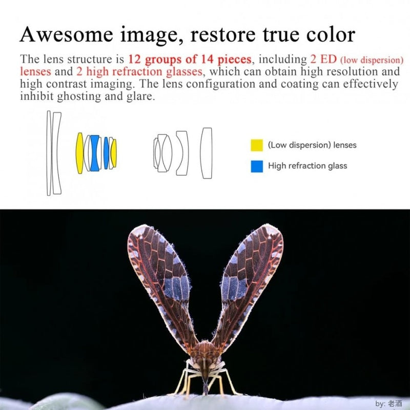 เลนส์ 60mm Macro Nikon Z 2X Magnification