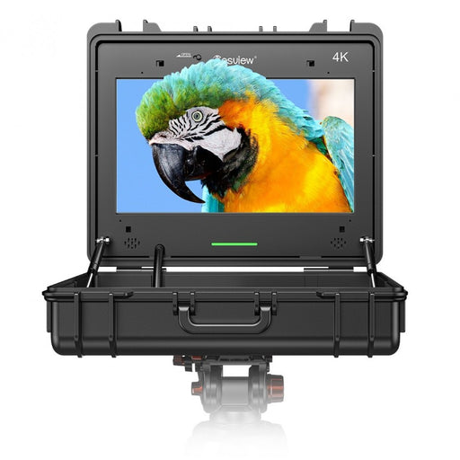 Desview SP17 Plus Monitor 17.3 inch 4K UHD HDMI SDI